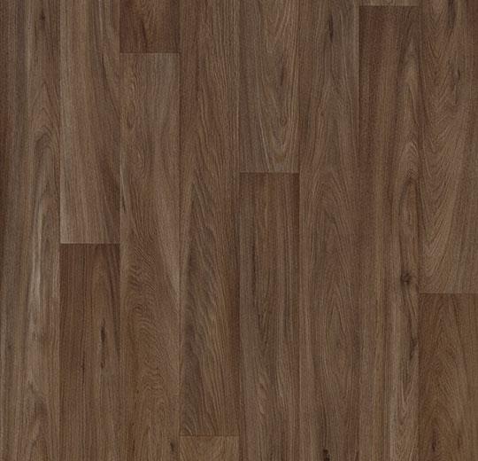 dark oak 10452